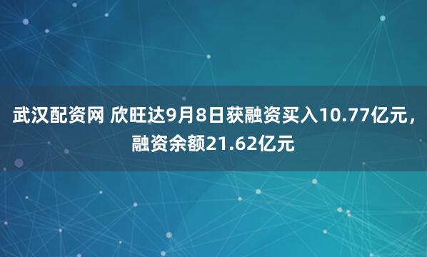 武汉配资网 欣旺达9月8日获融资买入10.77亿元，融资余额21.62亿元