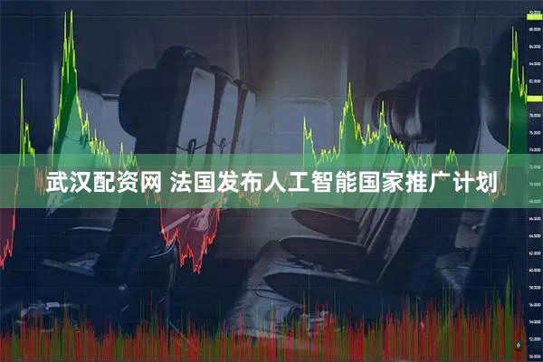 武汉配资网 法国发布人工智能国家推广计划