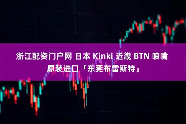 浙江配资门户网 日本 Kinki 近畿 BTN 喷嘴 原装进口「东莞布雷斯特」